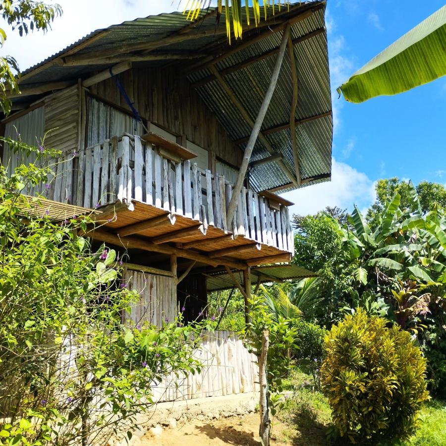 La Munequita Lodge 1 - Culture & Nature Experience Palmar Norte 外观 照片